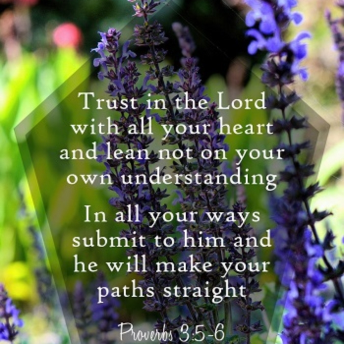 Trust in the Lord with all your heart and lean not on your own understanding.
