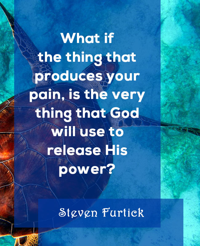 Steven Furtick Quotes