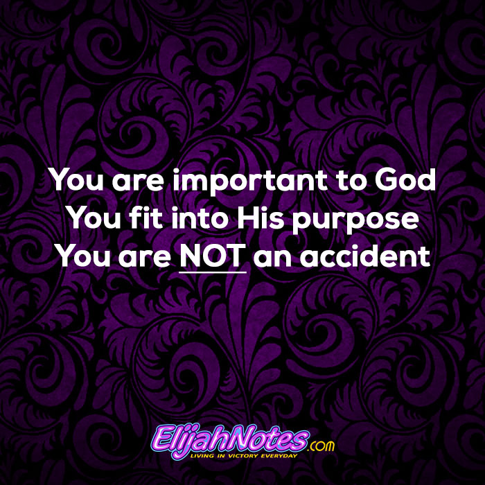You are important to God. You fit into His purpose. You are not an accident.