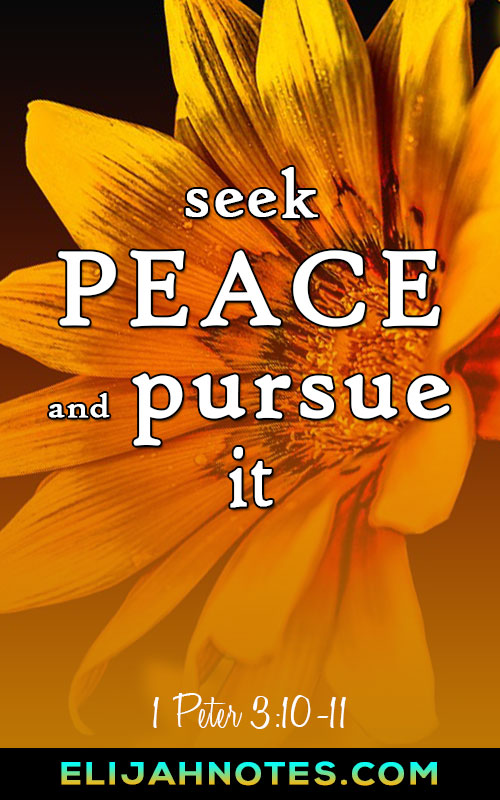 Bible Verses About Peace Of Mind And Comfort