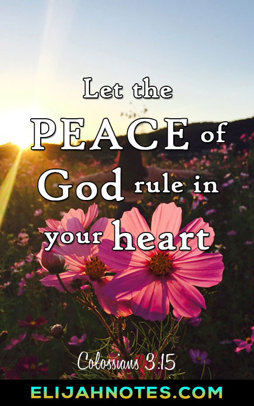 Bible Verses About Peace Of Mind And Comfort