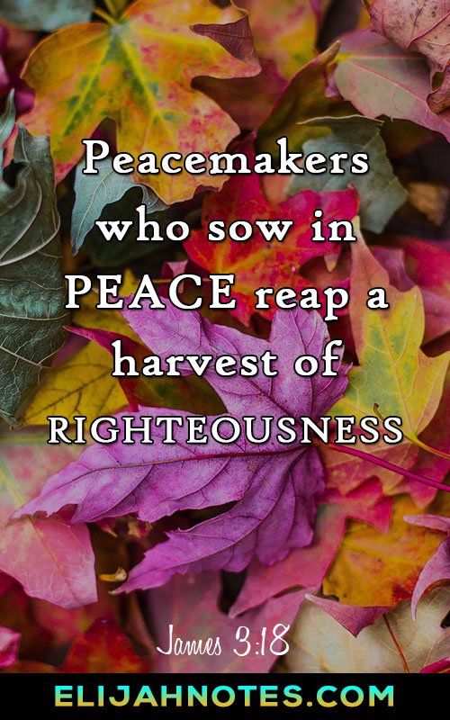 Bible Verses About Peace Of Mind And Comfort