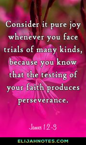bible verse about perseverance after death