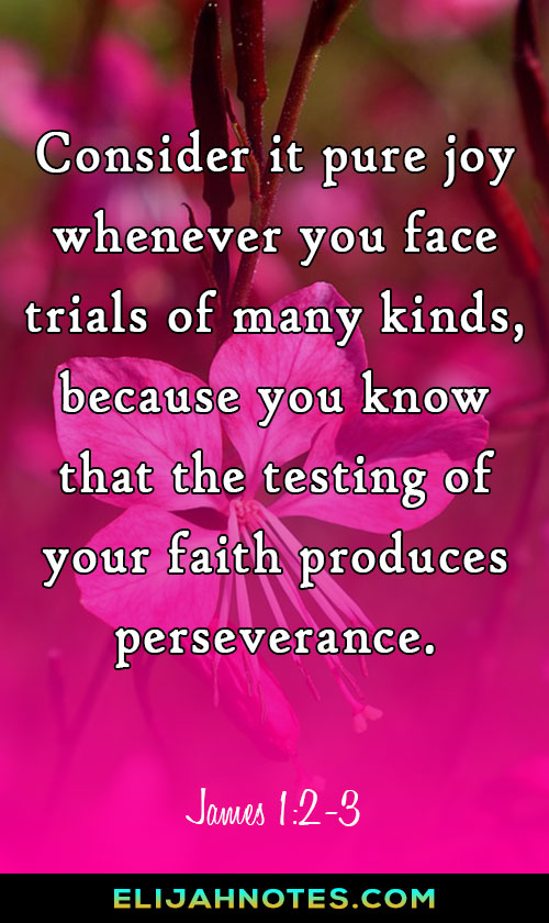Bible Verses About Perseverance | Faith | Christian | Inspirational Quotes | Christian Quotes | Bible Quotes | Jesus | Christianity | Scripture | Hard Times