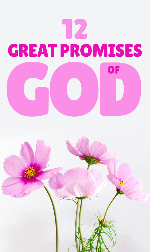 The 12 Greatest Promises Of God
