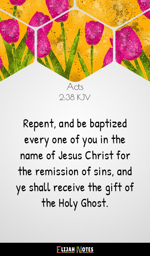 Bible Verses About Accepting Christ KJV